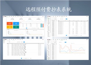 遠(yuǎn)程預(yù)付費(fèi)抄表系統(tǒng)的原理是什么呢？—老王說表